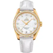 Omega Seamaster Co-Axial Aqua Terra 231.58.39.21.55.002