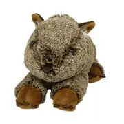 My Australia Plush 25cm Wombat Australian Souvenir, EJF E9019