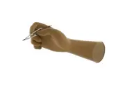 200-Pairs Ansell Micro Thin Surg Glove Size 8.5 Latex Free Exp.5/24 200pairs/Cs