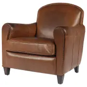 Arton Leather Armchair, Vintage Whiskey
