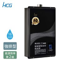 【HCG 和成】16公升數位恆溫熱水器-GH1655(LPG/FE式)