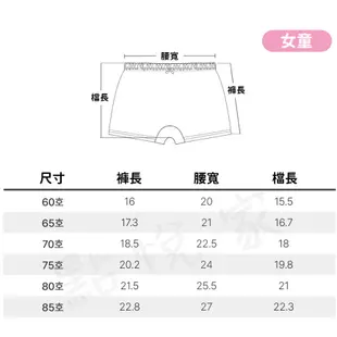 【ppippilong】韓國 兒童內褲 莫代爾棉 四角內褲 男童 女童 四角褲 正品 多款可選 PPI009