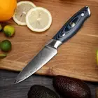 Full Tang Japanese Kitchen Paring Knife VG10 Damascuss Steel 67 Layers 3.5" Inch