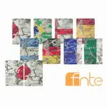 FNTE FIFA 世界盃迷彩國旗 IPAD AIR保護套