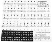 Mikinona Beginner Piano Keyboard Stickers 37/49/54/61/88 Key Bright Easy to Use