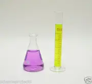 25mL Cylinder 100mL Erlenmeyer Flask Set Borosilicate Glass Graduated Lab New