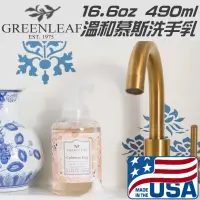 在飛比找蝦皮購物優惠-🎉現貨💖 美國 Greenleaf GF綠葉 香氛洗手慕絲 
