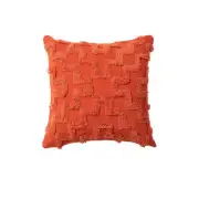 Accessorize Janni Rust Filled Square Cushion