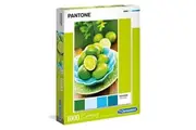 1000pc Clementoni Pantone Colour Swatch Juicy Limes Detailed Jigsaw Puzzle Piece