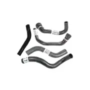 Radiator + Heater Hose Set for Holden Commodore VZ Berlina Calais VZ