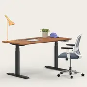 Recess Active Bundle | Ergonomic Chair Desk | Home Office Furniture Packages, Slate / Large - 150W x 75D (cm) / Walnut/Black