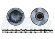 CAMSHAFT FITS: DACIA LOGAN MCV 1.6 16V HI-FLEX/1.6 16V .DACIA DUSTER 1.6 16V
