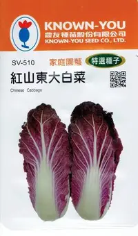 在飛比找Yahoo!奇摩拍賣優惠-紅山東大白菜(Chinese Cabbage) sv-510