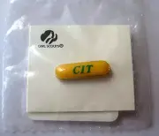 Girl Scout Senior Ambassador CIT COUNSELOR IN TRAINING AWARD PIN Bar Earned NEW