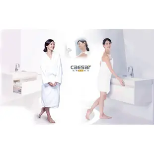 《 阿如柑仔店 》Caesar 凱撒 DF240 無線遙控型 四合一 浴室暖風機 乾燥機