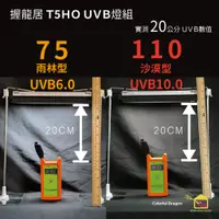 在飛比找蝦皮購物優惠-【握龍居🔥限時免運】T5HO UVB燈具組 UVB6.0 U