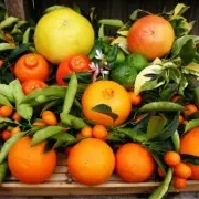 SUN DRENCHED CLEMENTINE Fragrance Oil for making Candles, Soaps, Wax Melts etc.