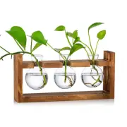 Plant Stand Flower Propagation Stations Terrarium Glass Bud Bulb Vase Wooden