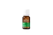 Oil Garden Lime Essential Oil 12ml