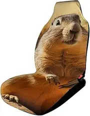 HETVBNS Breathable Car Seat Cover Hand Drawn Groundhog Car Front Seat Protector with Elastic Band Edge Auto Seats Cushions Cars Interior Accessories Fit SUV Sedan Van Truck 1PCS
