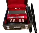 Diatonic button accordion, 8 basses 21 trebles, new, case and shoulder strap