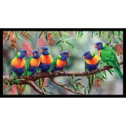 Patchwork Quilting Sewing Fabric Australian Lorikeets Panel 59x110cm
