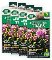 [4PCE] Garden Greens Naturals Aphid Glue Traps, Keep Your Plants Healthy and Pest-Free, Non-Toxic and Eco-Friendly Solution for Indoor and Outdoor Gardens