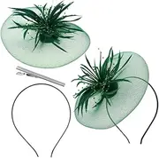 [ERINGOGO] 2pcs Mesh Feather Headdress Scene Hair Accessories Party Headwear Hair Clip Headdress Tea Party Dress Garden Party Dresses for Women Tea Party Hat Artificial Feather Green