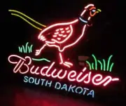 Pheasant South Dakota Welcome Hunters Light Neon Light Sign 24"x20" Lamp AL