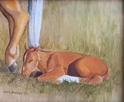 original oil painting horse colt foal mare sorrel palamino Carol Proebstel