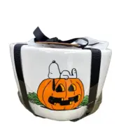 RAE DUNN PEANUTS Measuring Cups Halloween Double Sided Snoopy NWT 2023