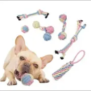 6 Pack Dog Rope Chew Toy Bundle for Small Medium Dogs Durable Aggressive Chewers