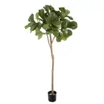 [OneWorld Collection] Fiddle Leaf Tree 2m