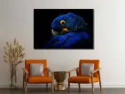 Blue Parrot Face Art Yellow Eye Macaw Wall Art Canvas Unframed Print Art