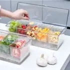Large Capacity Divided Container Organizer with Lid Ice Serving Tray