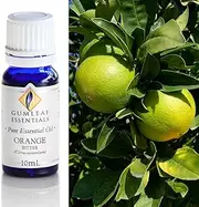 Gumleaf Essentials Orange Bitter Essential Oil - 10ml, Cruelty Free & Vegan, 100% Pure & Natural