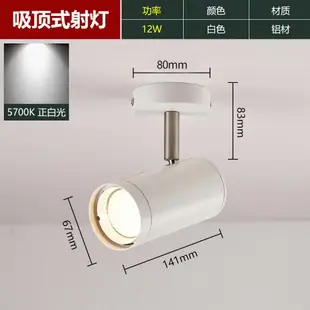 投射燈 舞台燈 氣氛燈 照明LED吸頂式射燈明裝天花燈無軌道商用店鋪服裝店家用客廳『TS1321』