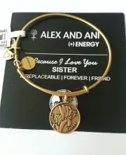 Alex and Ani Because I Love You SISTER Bangle Bracelet New/Tags BOX Retired