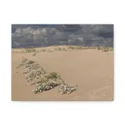 Stretched Canvas Sand Dunes under Blue Sky Wall Art - Original Photography