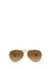 Ray-Ban Aviator Frame Sunglasses 58 Brown