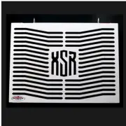 Yamaha XSR900 (16-21) Beowulf Stainless Steel Radiator Guard - Made in UK Y035NS