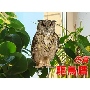 @貨比三家不吃虧@仿真驅鳥鷹 驅鳥反光 立柱老鷹仿真 趕鳥神器 驅鳥彩帶 陽臺驅鳥 菜園防鳥 庭院防鳥 防鳥貓頭鷹