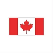 Womaha 30 Sheets Canada Flag Temporary Tattoos World Cup European Cup Football Face Tattoo Stickers