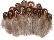 60pcs Natural Plumage Feathers 2-3 Inches Fluffy Spotted Pheasant Feathers