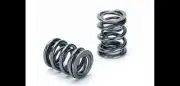 Supertech SPR-TS1015-SUB5 Dual Springs for Subaru EJ25 NON-Turbo SOHC