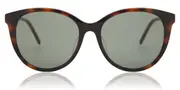 Saint Laurent SL M82/F Asian Fit 003 Men's Sunglasses Tortoiseshell Size 56
