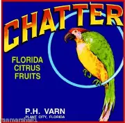 Plant City Florida Chatter Parrot Bird Orange Citrus Fruit Crate Label Art Print