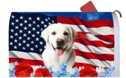 Labrador Retriever White Patriotic Mail Box Cover