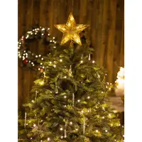 在飛比找蝦皮購物優惠-髮光樹頂星聖誕樹鐵藝LED星星電池款金色五角星樹頂星聖誕裝0