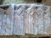 5 PRIOR WESTERN SHIRT 15 1/2 X 33 or 34 LONG SLEEVE Stripe Men Pearl Snap NEW
